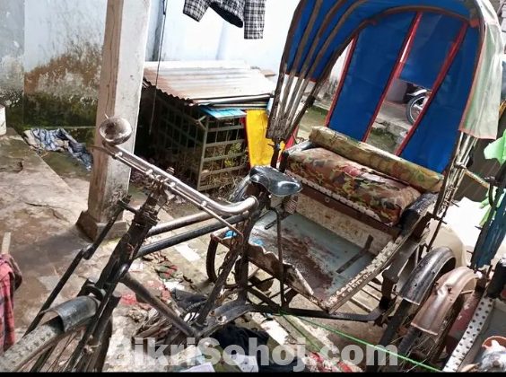 রিকশা + পেপার